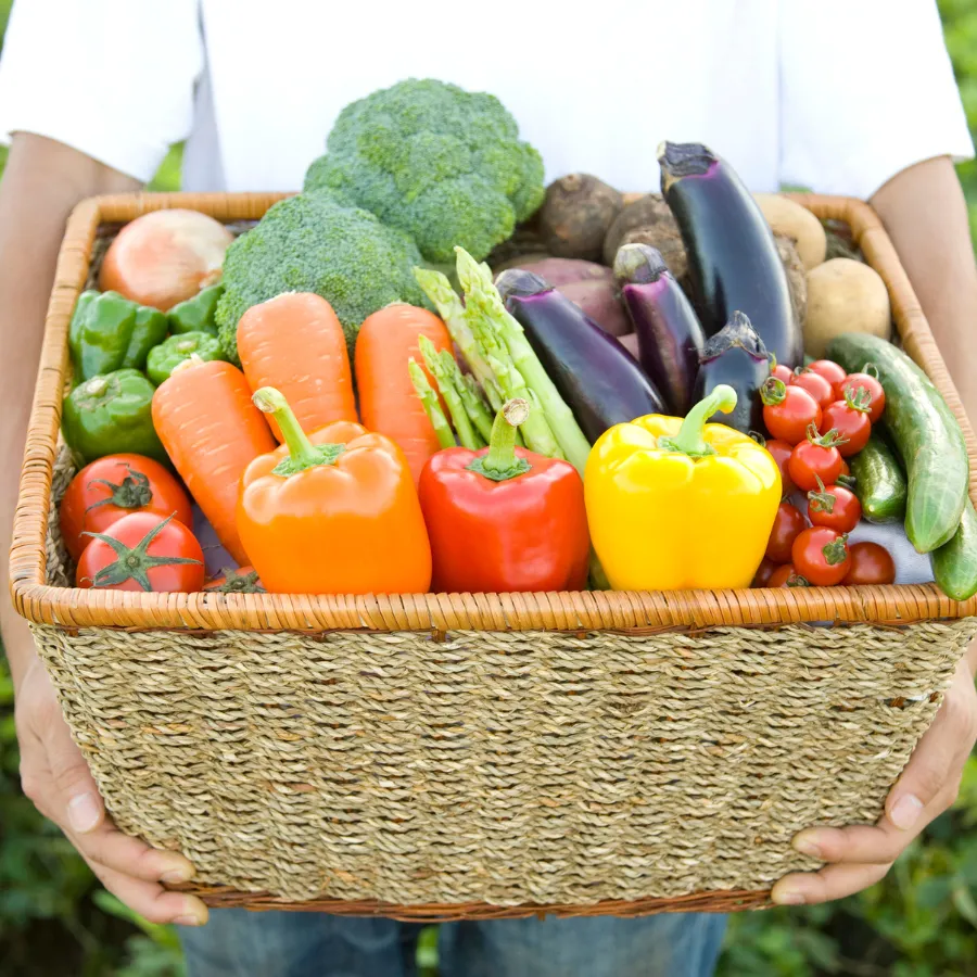 Indonesia AI, AI di Indonesia - Image Classification