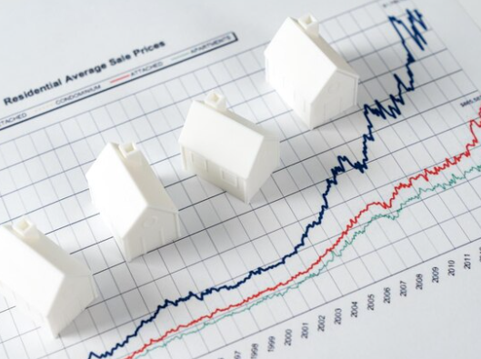 AI Intensive Bootcamp, Computer Vision Specialist - Check